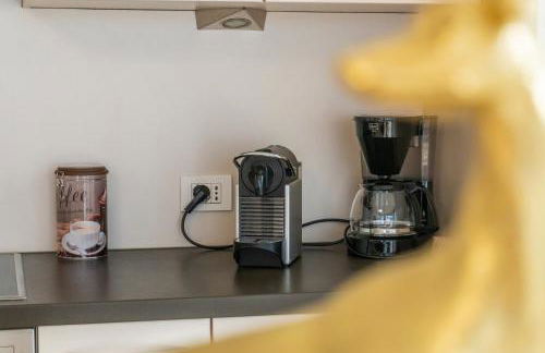 Luxus Penthouse mit Terrasse, Garage, Fahrradraum und Infrarotsauna - Foto 47