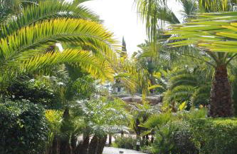 Luxury 3 Bedroom Apartment on Gated Complex - Foto 25