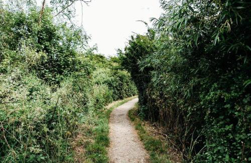 Sunny Beachside Apt with Free Parking - Foto 28