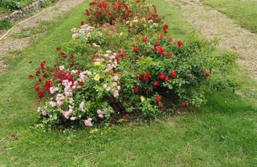 Gite de la Drouette et chambre d'hôtes - Foto 18