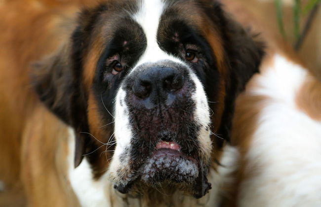 Tranquil Mountain Hideaway - Photo 23