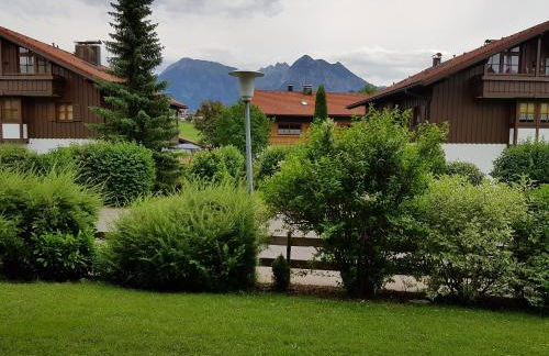 Sonnenblume - Photo 10