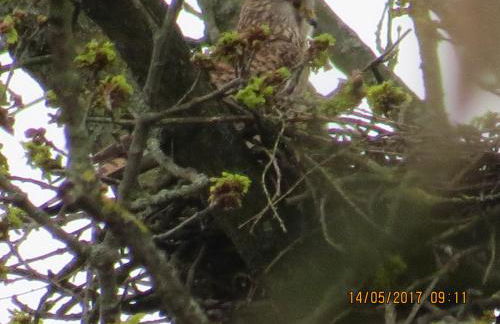 Ferienwohnung Rhönbergblick - Foto 35