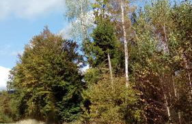 Apartment mit Gartenblick - Foto 23