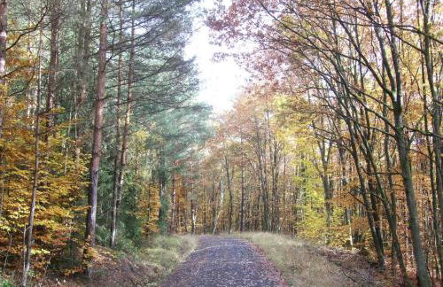 Ferienwohnung Bockelt - Foto 6