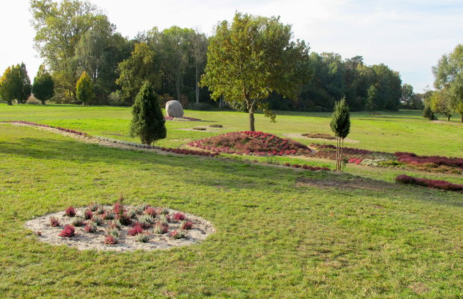 2 bedroom Apartment in Splietsdorf with garden - Photo 15