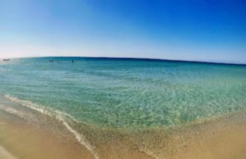 Ваканциона къща Анемони - Foto 4