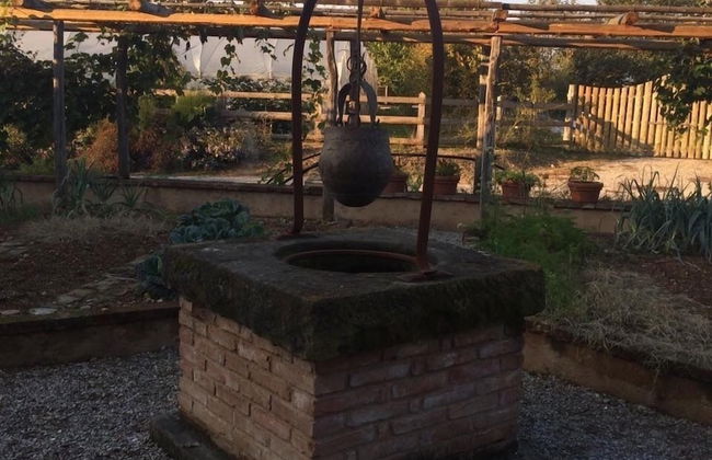 Corte Breda Agriturismo Bed & Breakfast - Foto 72