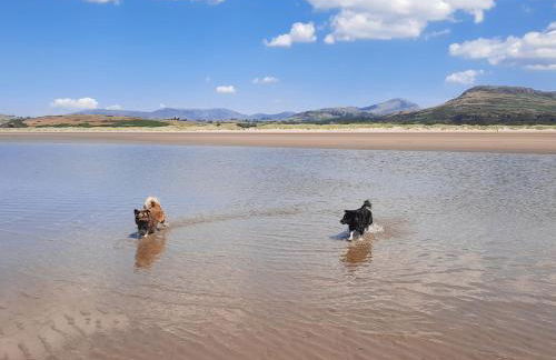 Cosy Quarrymans Cottage in Snowdonia - Foto 43