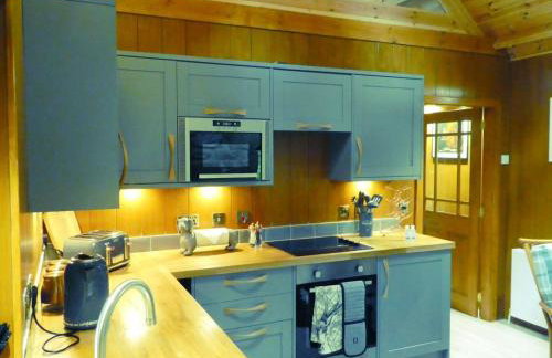 Wildcat Lodge - Foto 4