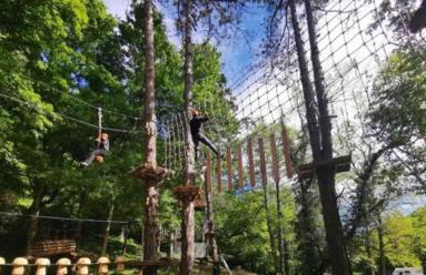 Seoski Turiziam Larva - Photo 51