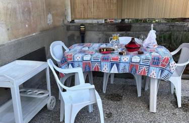 i tulipani - Foto 25