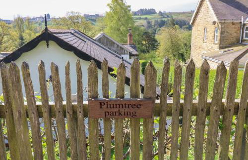 Plum Tree Cottage - Photo 28