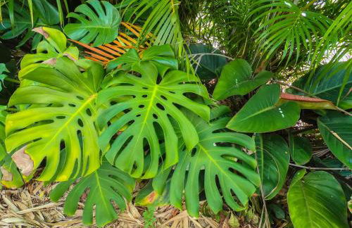 Sunset Cove Apollo Beach - Foto 72