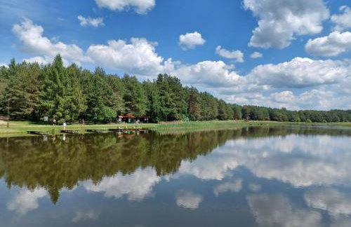 Gospodarstwo Agroturystyczne ŻARNOWIEC - Foto 28
