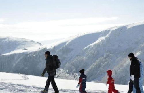 Charmant logis Gérardmer - Photo 48