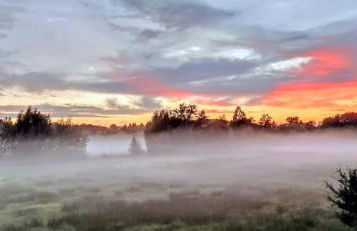 Steinaublick Ferienwohnung - Schnell in Hamburg-Lübeck-Lüneburg-Schwerin-Ostsee - Foto 16