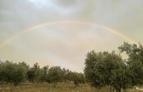 Casa vacanze "Ulivi nel Mare" - Foto 26