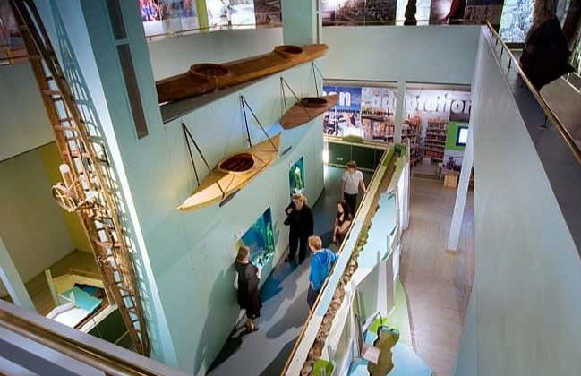 Excursión a la aldea de Papá Noel + Museo Arktikum - Foto 7