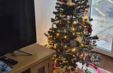 Journeys End with stunning Sea views from the Headland - Foto 2