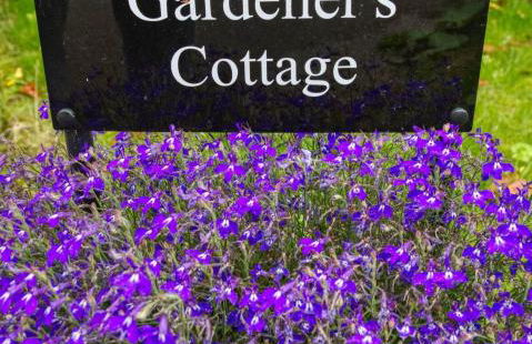 Tallentire Hall - Foto 22