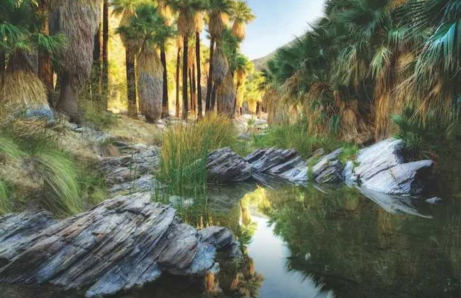 Villa Vista - Spanish Luxury Pool Wifi - Foto 78