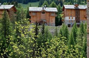 Chalet la Parrachée - Foto 4