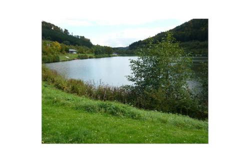 Haus Edelweiss Comfortable holiday residence - Foto 29