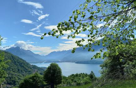 Lake in Nature - Foto 15