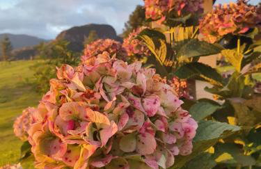 Pousada Flocos de Neve - Photo 24