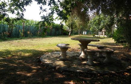 Templo do Río - Foto 7