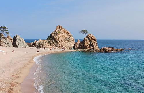 Apartamento Coral - Photo 26