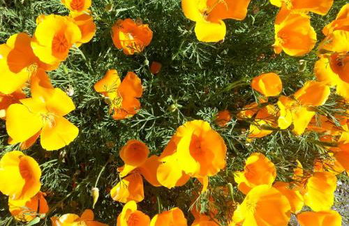 Cabañas Vallecino - Foto 63