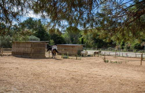 Gite Aux Écuries du Mas di Gau - Foto 32