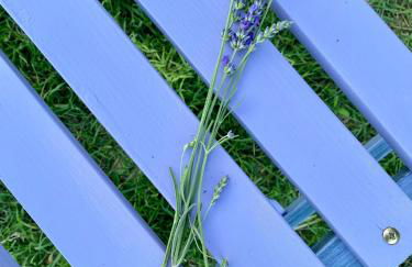 Casa Vacanze Podere San Giusto Volterra - Foto 70