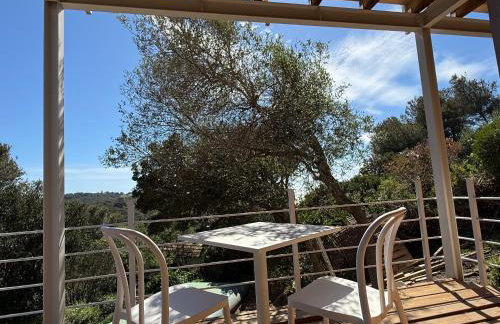 La roche aux mouettes Ile du Levant - Foto 56