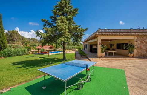 El Bosque Candy - Foto 40