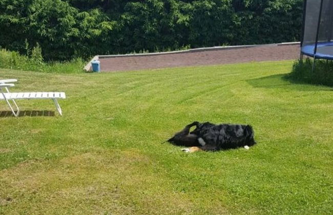 Vakantie in het Dorp - Photo 21