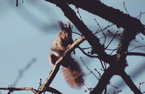 Ferienwohnung Jüdel mit Saunanutzung - Foto 41