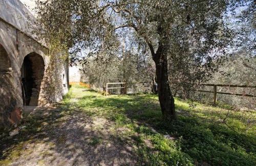 Appartamento Ferla La Taggiasca - Foto 18