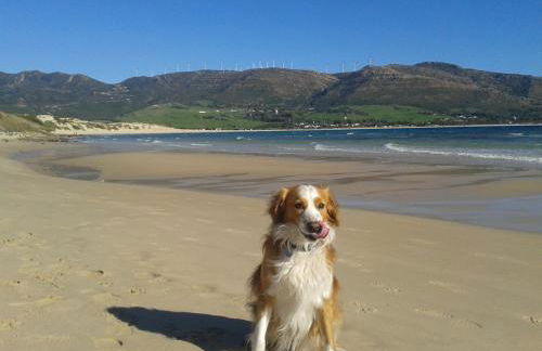 Hotel-Apart CORTIJO LAS PIÑAS - Foto 66