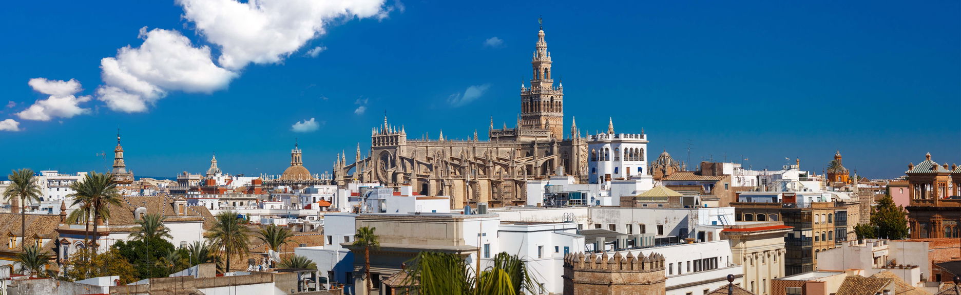 Excursión privada desde El Portil