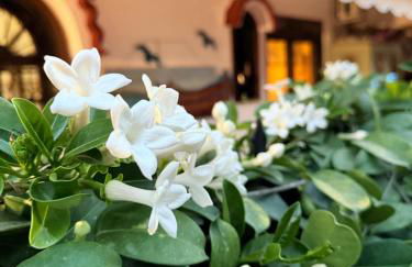 Popis Maison - Photo 27