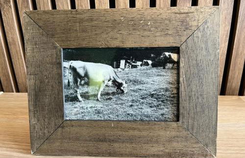 Allgäu Apartments Hüs 4 Ferienwohnung mit Self-Checkin - Photo 10