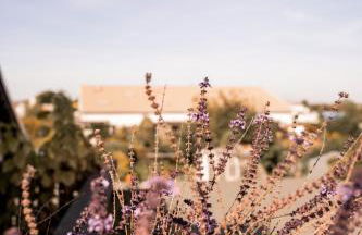 Lieblingsplatz by Julia & Tom - Foto 36