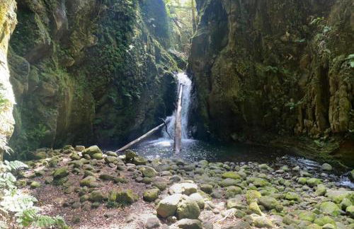 Casa Auri - Photo 23