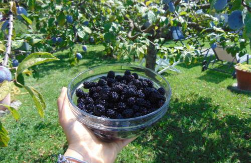 Ca'Melia Villetta - Foto 10