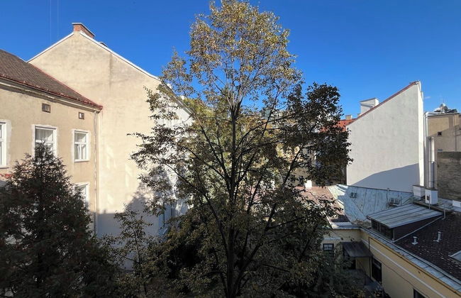 Orange Palm - Foto 39