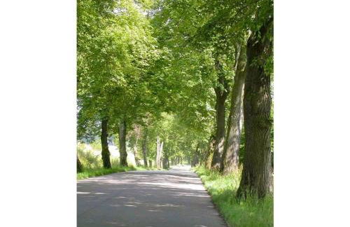 Häuschen über der Lanke - Photo 26