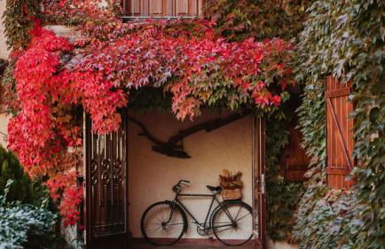 Hospedería del Valle Boutique Apartments - Foto 1